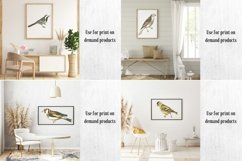 Vintage Birds, Antique Birds Clipart Product Image 16