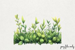 Watercolor Grass Borders Clipart PNG Product Image 1