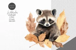 Autumn clipart, Raccoon clipart, Fall clipart Product Image 1