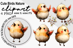 Whimsical Cute birds nature clipart Watercolor png Product Image 1