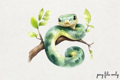 Jungle Book Watercolor Clipart PNG Product Image 1