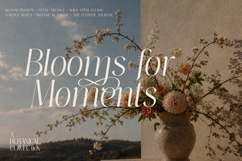 Thereon - Modern Romantic Serif Font Product Image 16
