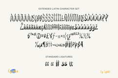 Ryosha Product Image 15