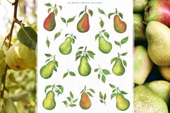 Watercolor Pears art set Product Image 16