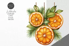 Christmas clipart, Dry orange slices, Winter clipart Product Image 1
