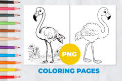 Flamingo Coloring Pages | Coloring book Product Image 1