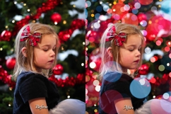 224 Christmas Shine Bundles Product Image 16