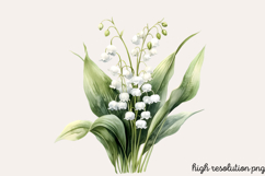Watercolor Spring Flowers Clipart PNG Product Image 1