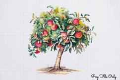 Big Bible Collection Watercolor Clipart PNG Product Image 1