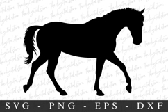 Horse SVG | SVG Cut files | Cricut Product Image 1