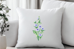 Chicory Plant Watercolor Collection Product Image 10