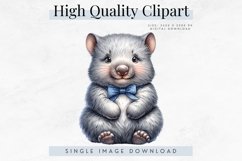 Charming Wombat Clipart, Cute Animal Digital Download Product Image 1