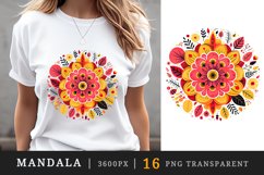 16 drawing cute colorful mandala autumn leaves flowers ornament print clipart set t-shirt sublimation printable designs bundle png transparent