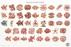 Books Pages Coastal Life Clipart Product Image 4