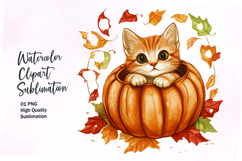 Cute cat inside pumpkin fall watercolor clipart Product Image 1