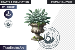 Medicinal Herbs clipart PNG, Apothecary Botanical Graphic Product Image 1