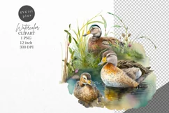 Duck clipart, Birds clipart, Watercolor clipart Product Image 1
