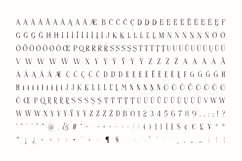 Softspoken Serif, Sans, Script Fonts Product Image 16