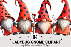 Whimsical Ladybug Gnome Clipart Watercolor png Product Image 1