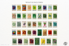 Summer Vegetable Seeds Packet Clipart Product Image 4