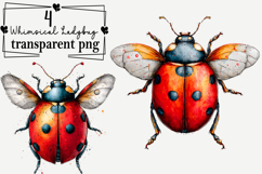 Whimsical Ladybug Clipart Watercolor PNG Product Image 1