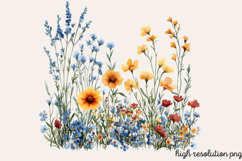 Wildflowers Arrangements Clipart PNG Product Image 1