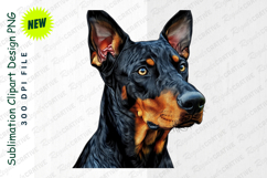 Doberman Pinscher Dog Breed Portrait Isolated Clipart Png Product Image 1