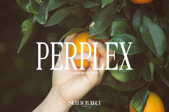 Modern &amp; Elegant Font Bundle Product Image 17