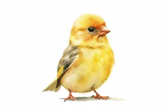 Cute Goldfinch bird Bird Baby Watercolor Handmade illustrati Product Image 3