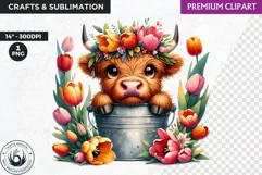 Highland calf Clipart, Highland cow in a bucket, Spring png Product Image 1