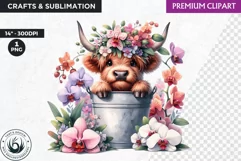 Highland calf Clipart, Highland cow in a bucket, Spring png Product Image 1