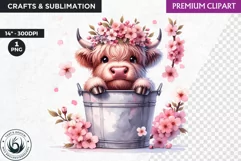 Highland calf Clipart, Highland cow in a bucket, Spring png Product Image 1