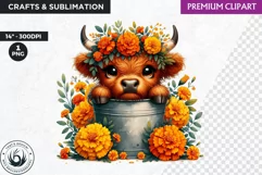 Highland calf Clipart, Highland cow in a bucket, Spring png Product Image 1