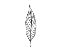 Palm Leaves svg, Botanical png Product Image 21