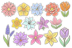 16 Wildflower Flower Illustration Floral Clipart Colour SVG Product Image 2