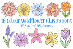 16 Wildflower Flower Illustration Floral Clipart Colour SVG PNG by Squeeb Creative