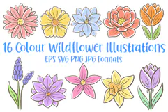 16 Wildflower Flower Illustration Floral Clipart Colour SVG PNG by Squeeb Creative