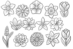 16 Wildflower Flower Illustration Floral Clipart SVG PNG Product Image 2