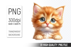 Cute Cat, Animal Sublimation Clipart PNG Product Image 1