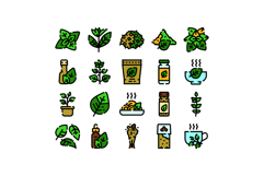 Basil herb product and food icons set Product Image 1