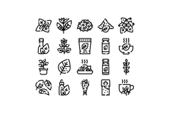 Aromatic herbs and spices line icons collection Product Image 1