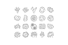 Hand drawn coral reef marine life icons Product Image 1