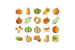 Pumpkins and squash whole and sliced illustrations Product Image 1