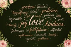 Flamingo - formal script Product Image 6