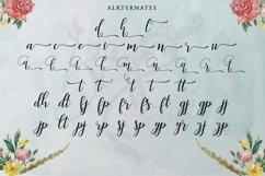 Web Font Faranisa Script Product Image 5