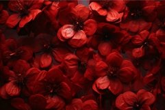 Radiant red poppies in full bloom Product Image 1