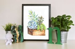 Watercolor Succulents Clip Art Set Product Image 8