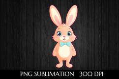 Charming Easter Bunny Product Image 1