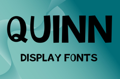 QUINN Product Image 1