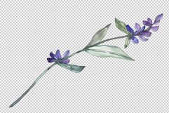 Bouquet summer breeze lavender watercolor png Product Image 6